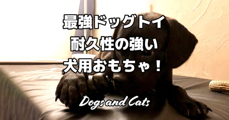 最強ドッグトイ！耐久性の強い犬用おもちゃ！