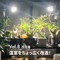 改造篇 ファブリコール温室のライトとスポットを変更して広く改造！