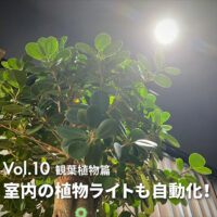 ダクトレールにつけた植物育成ライトを完全自動化！室内植物に光を！