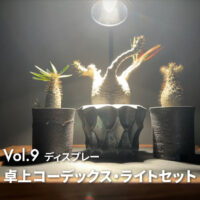 卓上コーデックス・ライトセット保温機能付をDIYする！鑑賞性・機能性重視！